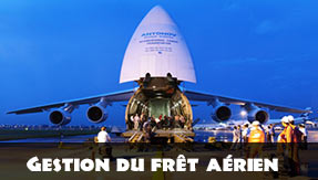 Frêt aérien